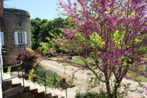 B&B / Chambres d'hotes Ancien Haras de la Tour : photos des chambres