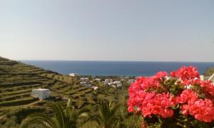 Myrtia Studios Tinos Greece