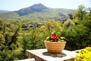 Gamila Rocks Mountain Hotel