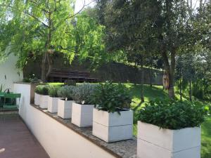 Gaia House img35