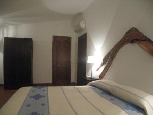 Il Vecchio Ginepro img13