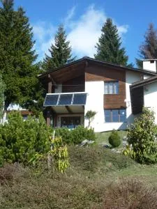 Arnika Montana - Danis