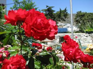 Anna Studio Amorgos Greece