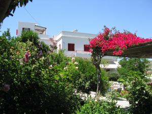 Anna Studio Amorgos Greece