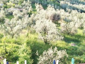 Appartamento con 3 Camere da Letto