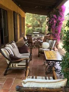 Villa Maxime - San Ciprianu