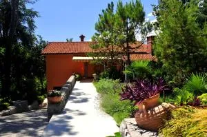 Apartment Magnolia - Turan