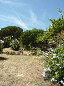 FERME DU MOULIN ROUX- 2 superbes appartements- 2cbres chacun- classe 3 etoiles, climatises : photos des chambres