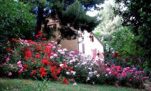 Agriturismo La Casa della Lavanda - Il Casale