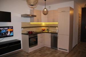 Apartment Wielicka Cracow