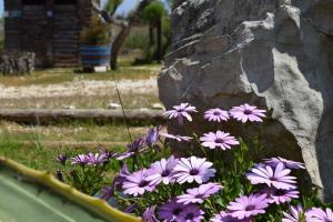 Villa Edem Achaia Greece