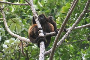 B&B, family run homestay, Hospedaje La Penita