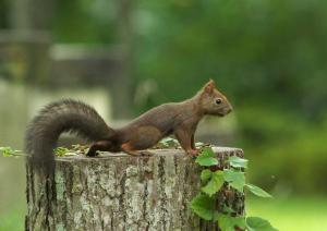 Kyukamura Shikotsuko