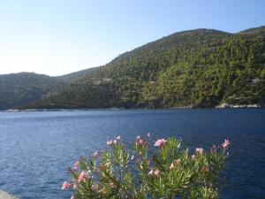 George SkyrosStudios