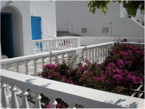 Artemis Pension Ios Greece