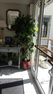 Hotels Logis Hotel Bellevue : photos des chambres