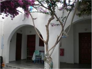 Artemis Pension Ios Greece