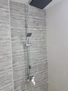 Single Room with Shared Bathroom room in Guesthouse Central