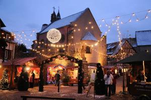 Appartements Gite Edelweiss a Eguisheim : photos des chambres