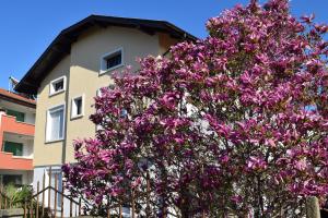 Chalet Velibash House Velika Bulgarie