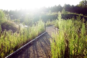 Les Échasses Golf & Surf Eco Lodge