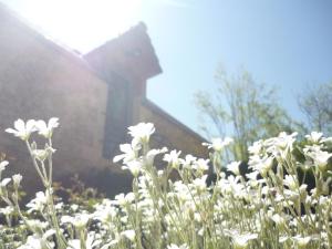 B&B / Chambres d'hotes Les Deux Moiselles - Le Cheyssignaguet : photos des chambres