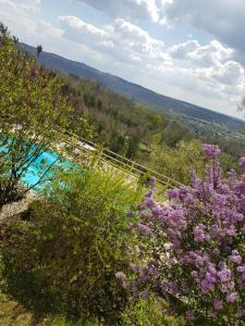 Maisons de vacances Le Clos Des Etoiles : photos des chambres