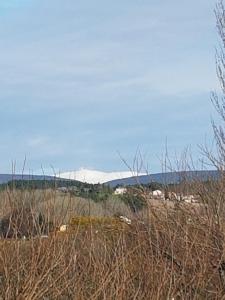 Hotels Hotel Carina : photos des chambres