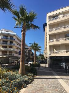 Appartements Appartement F3 Vue mer Sainte-Maxime : photos des chambres