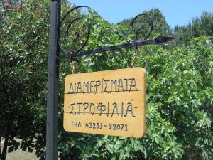 Strophilia Apartments Skiathos Greece