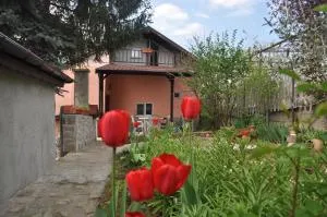 Holiday Home Vilata - Vishnevo