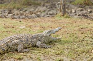 First Group Lake View Cabanas