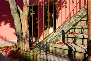 Casas Marias de Portugal - Cerveira