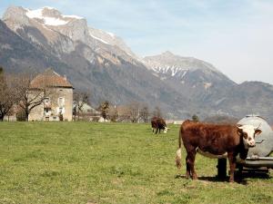 Maisons de vacances La Tour de Seythenex : photos des chambres