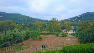 Il Complesso Saraceno img14