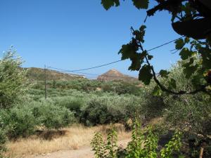 Sunrise Apartments Lasithi Greece