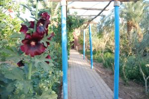 dhôte Jnane-Dar Diafa