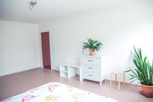 Rausch Ferienwohnung