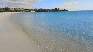 Il Fenicottero Rosa img10