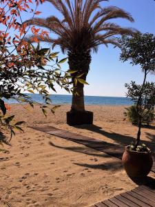 Hotel Avra Olympos Greece