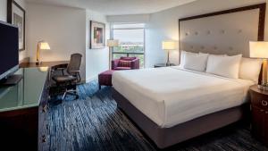 Deluxe King Room room in Hyatt Regency Houston Intercontinental Airport