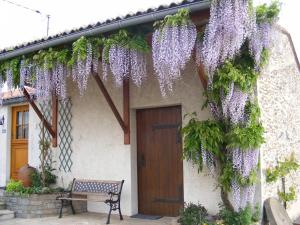 B&B / Chambres d'hotes Chambres d'Hotes Vignes et Loire : photos des chambres