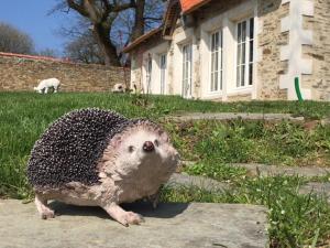 Maisons de vacances Gite L'Orangerie : photos des chambres