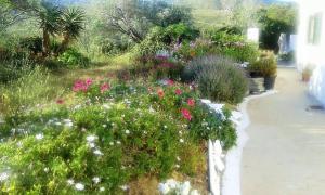 Avgoustis' stone house Kea Greece