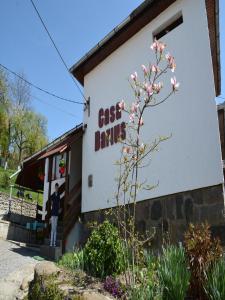Privat Casa Darius Sovata Romania