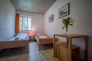 Hotel Sion Youth Hostel Sion Švýcarsko