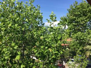 Vaya Apartments & Studios Pieria Greece