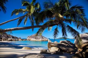 Bedarra Beach House water taxi included