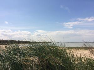 Campings Camping de la Plage : photos des chambres