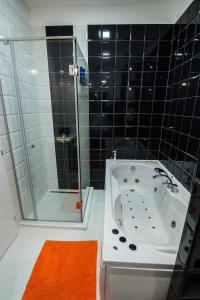 CheckBelgradeApartment- City Center